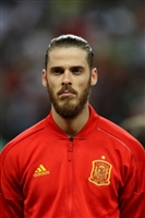 David De Gea Longsleeve T-shirt #3337880