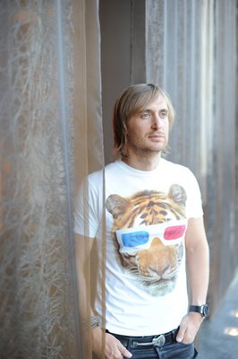 David Guetta wooden framed poster