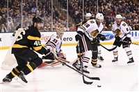 David Krejci Sweatshirt #3573620