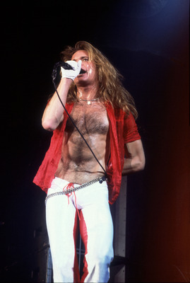 David Lee Roth posters