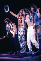 David Lee Roth mug #G805356