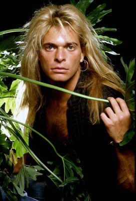 David Lee Roth stickers 2537757