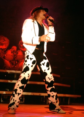 David Lee Roth posters