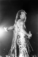 David Lee Roth tote bag #G895516