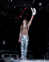 David Lee Roth tote bag #G895522