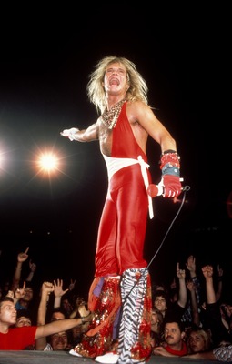 David Lee Roth stickers 2653448