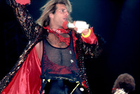 David Lee Roth mug #G895578