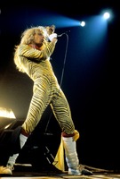 David Lee Roth mug #G895593
