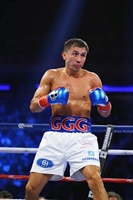 David Lemieux Tank Top #3597715