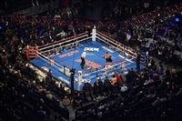 David Lemieux t-shirt #3597716