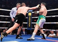 David Lemieux mug #G1840032