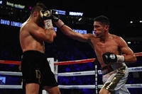 David Lemieux longsleeve t-shirt #3597803