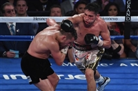 David Lemieux mug #G1840036