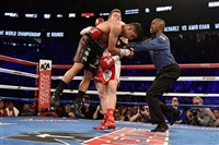 David Lemieux tote bag #G1840040