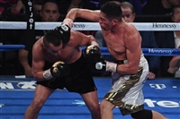 David Lemieux tote bag #G1840056