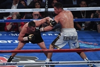 David Lemieux tote bag #G1840058