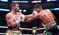 David Lemieux Sweatshirt #3597847