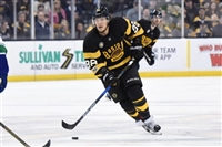 David Pastrnak mug #G1770680