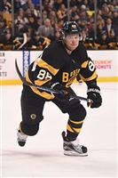 David Pastrnak mug #G1770719