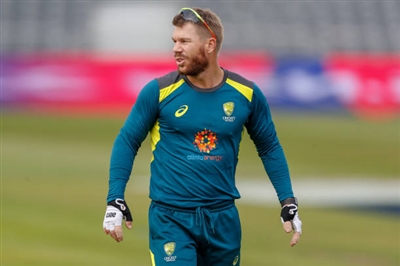 David Warner stickers 3705193