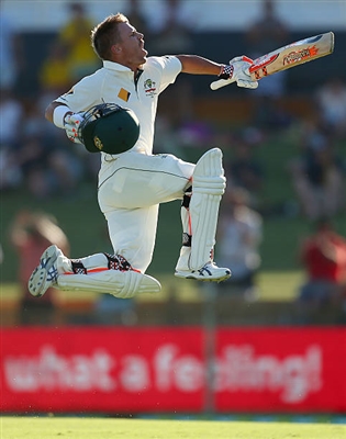 David Warner posters