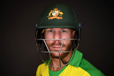 David Warner posters