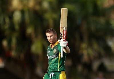 David Warner posters
