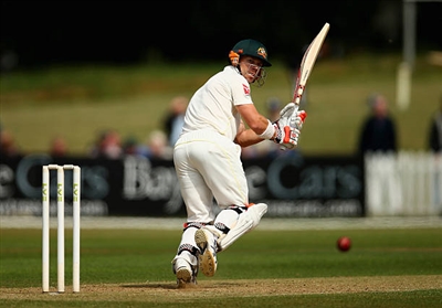 David Warner posters