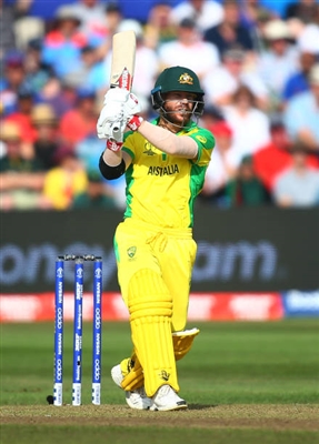 David Warner posters