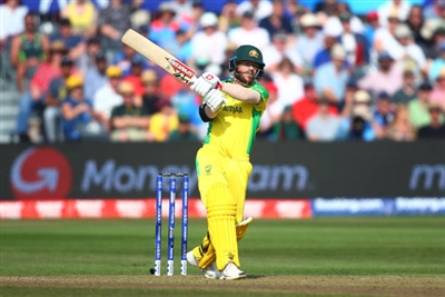 David Warner posters