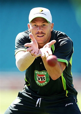 David Warner posters