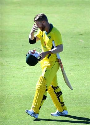 David Warner posters