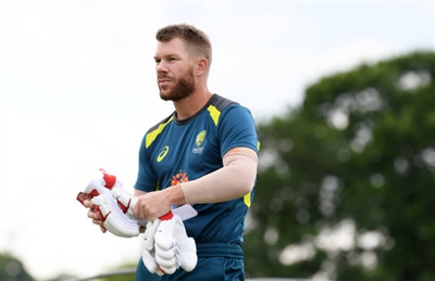 David Warner posters