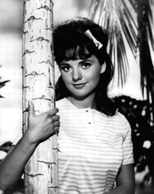 Dawn Wells posters