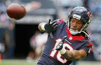 Deandre Hopkins mug #G1719381