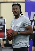 Deandre Hopkins tote bag #G1719444