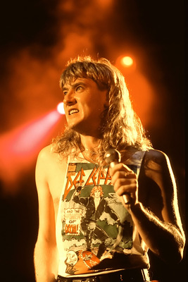 Def Leppard Poster 2664981