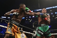 Deontay Wilder Sweatshirt #3586589