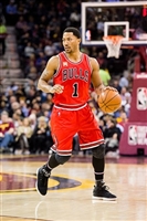 Derrick Rose t-shirt #3441229