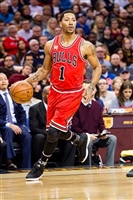 Derrick Rose Sweatshirt #3441356
