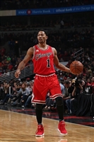 Derrick Rose mug #G1684622