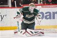 Devan Dubnyk hoodie #3550147