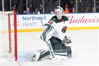 Devan Dubnyk hoodie #3550172