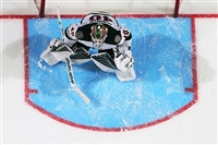Devan Dubnyk hoodie #3550185