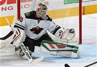Devan Dubnyk hoodie #3550270