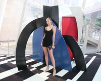 Devon Windsor Tank Top #3276991