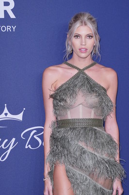 Devon Windsor posters