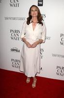 Diane Lane Tank Top #2995520