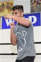 Diego De La Hoya Sweatshirt #3583742