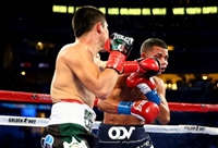 Diego De La Hoya hoodie #3583804